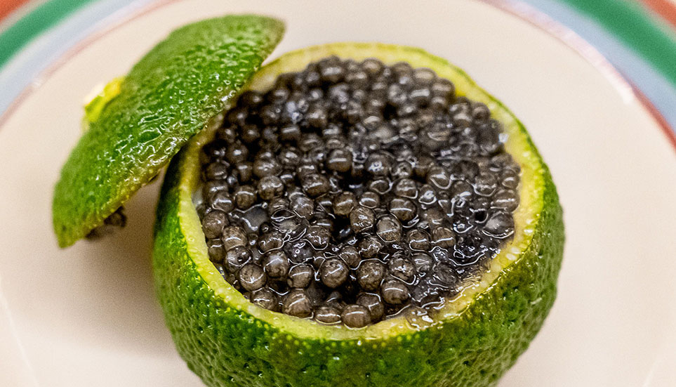 05｜日本料理 久丹 日本料理（新富）