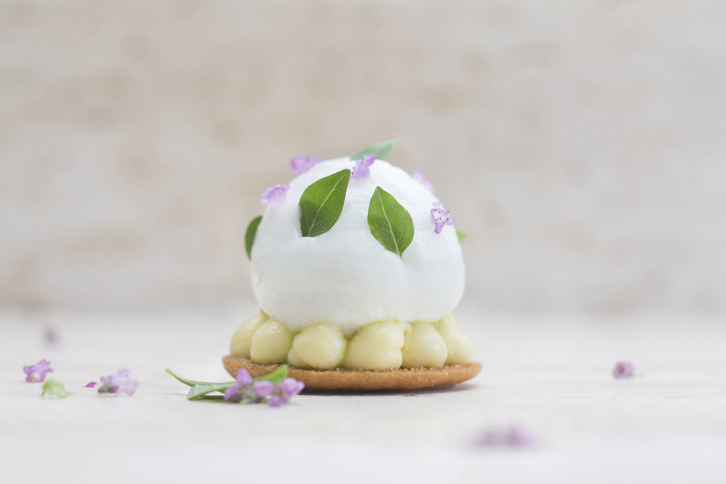 ROCOCO GLASS 日本で最もエレガントなビールグラス「ROCOCO Tokyo GLASS」が誕生！