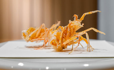 初めて飲んで「美味しい！」と感じ、即決！今ではなくてはならない存在に