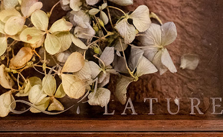 非日常を演出するROCOCOとの出会い