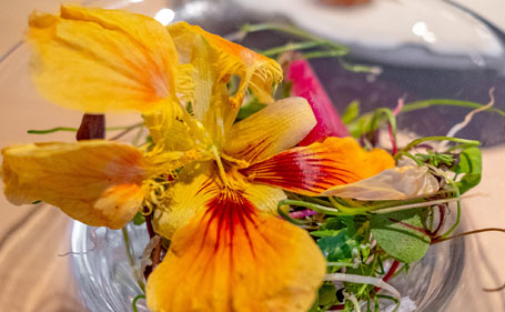 世界で称賛される「神戸高坂鶏」の衝撃的な味わいを篠原流のこだわりで余すところなく堪能し尽くす