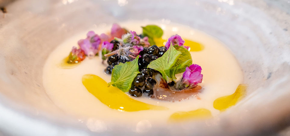 体に優しい工夫がほどこされた20種の少量多品目コース